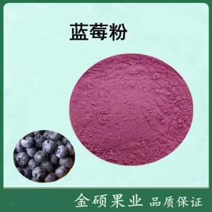 藍莓果粉代加工貼牌OEM/ODM