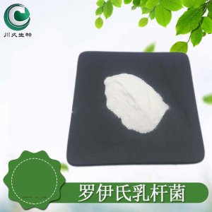 益生菌粉羅伊氏乳桿菌可OEM/ODM代工