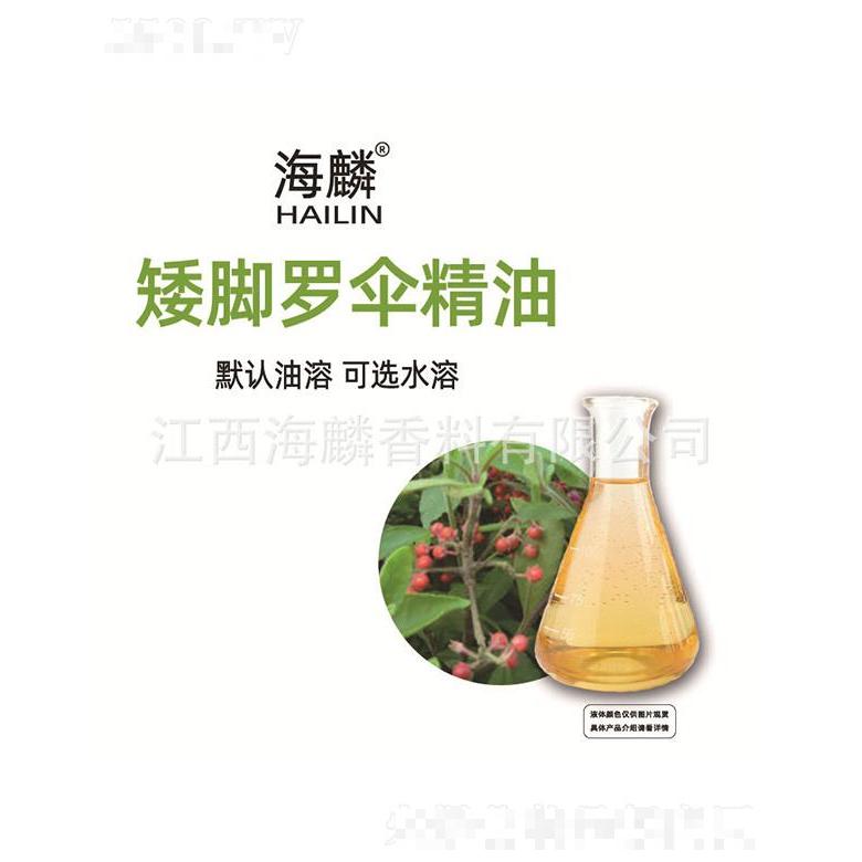 海麟矮腳羅傘精油