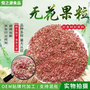 無花果碎廠家批發供應無花果粒烘焙糕點奶茶裝飾使用原料