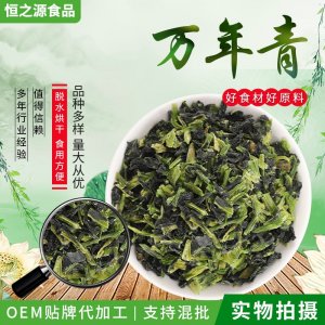 脫水蔬菜萬年青 散裝脫水干菜涼拌菜 脫水菜心 批發供應量大價優