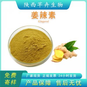 姜辣素 5%多規格 食品級 生姜提取物 姜酚 姜辣素粉原料 廠家包郵