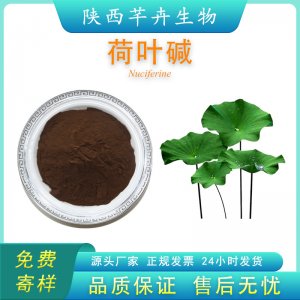 荷葉堿2% 荷葉提取物 另有荷葉堿98% 優質荷葉濃縮粉