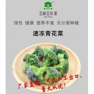 速凍青花菜（西蘭花)出口冷凍蔬菜;批發加工,生產工廠