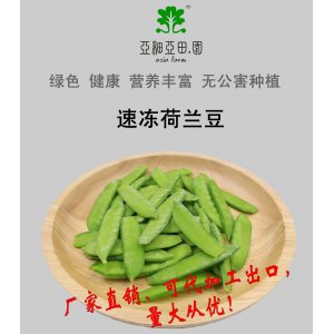 速凍荷蘭豆；出口品質冷凍蔬菜；批發代加工(OEM)；工廠 產地直銷