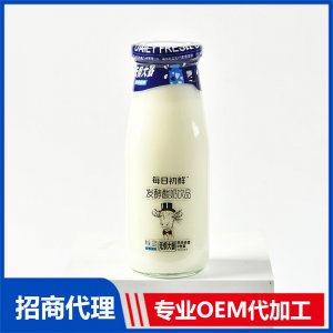 每日初鮮發酵酸奶飲品經典原味OEM代加工 發酵酸奶飲品貼牌定制源頭廠家