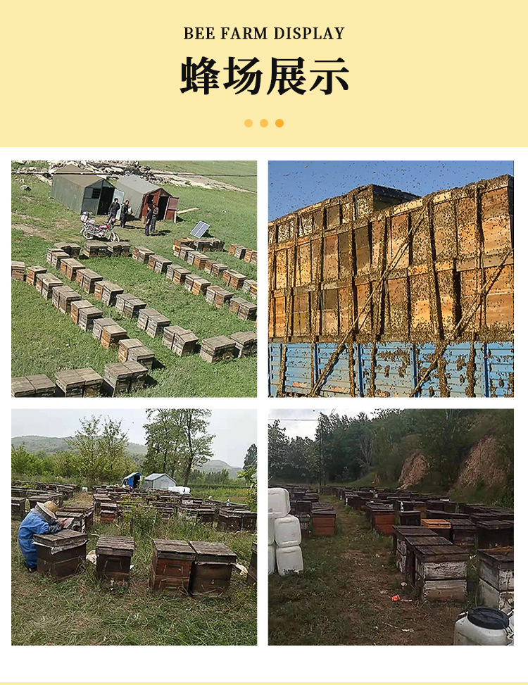 小瓶蜂蜜盒裝喜蜜結婚伴手禮兩瓶裝28g婚禮純正婚禮伴手禮