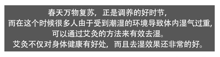 南陽艾柱 溫灸艾柱54柱 艾段艾柱 廠家批發按摩保健理療經絡家用