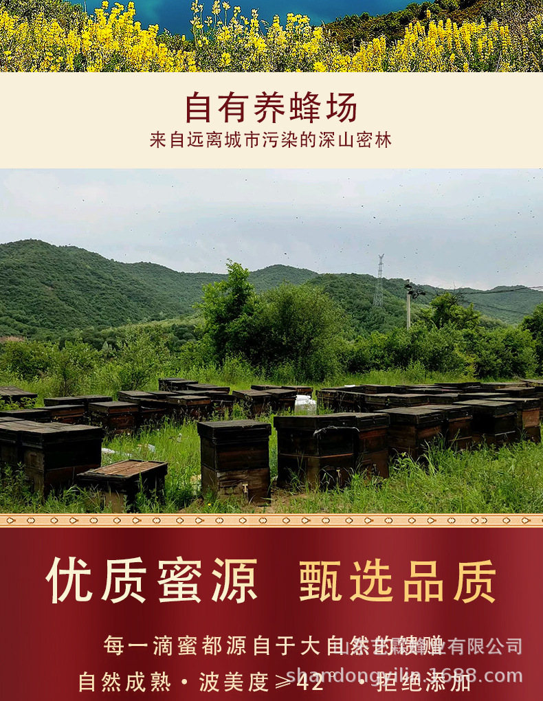 擠壓瓶蜂蜜百花蜜洋槐蜜土蜂蜜便攜小包裝純正天然原蜜高品蜂蜜