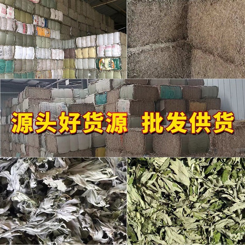 南陽蘄春廠家批發陳艾葉原材料 捆裝 壓縮原料艾草批發 陳年純艾