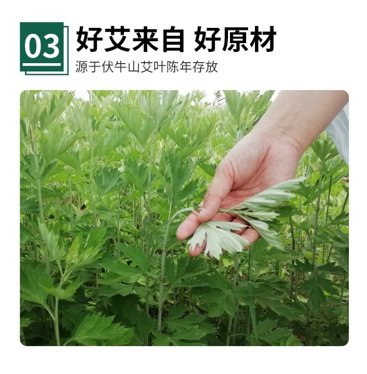 碳化艾條美容院懸灸艾灸艾草條艾絨無家用艾灸柱微煙黑色艾柱
