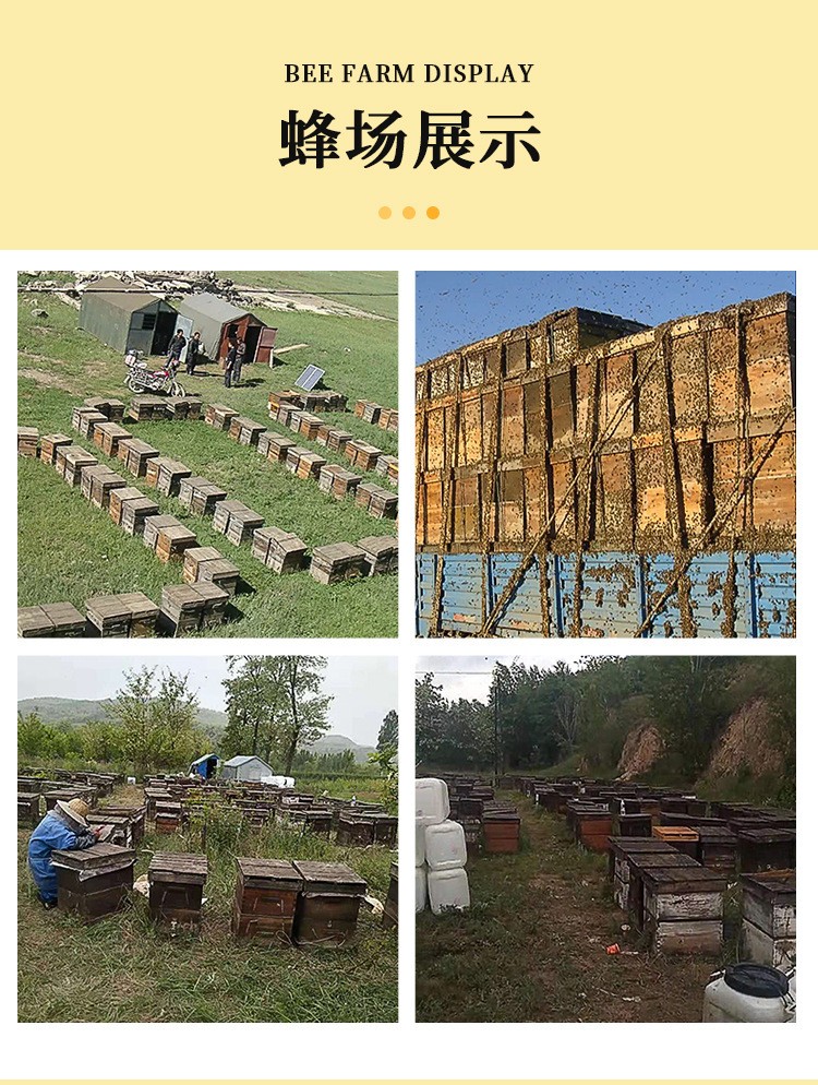 整箱蜂蜜伴手禮喜蜜小罐小鉆石35gDIY手工喜糖禮盒罐裝瓶裝