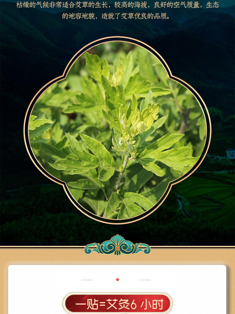 除濕貼艾立方艾灸貼艾草暖寶寶暖貼頸肩腰腿貼自發驅寒防寒