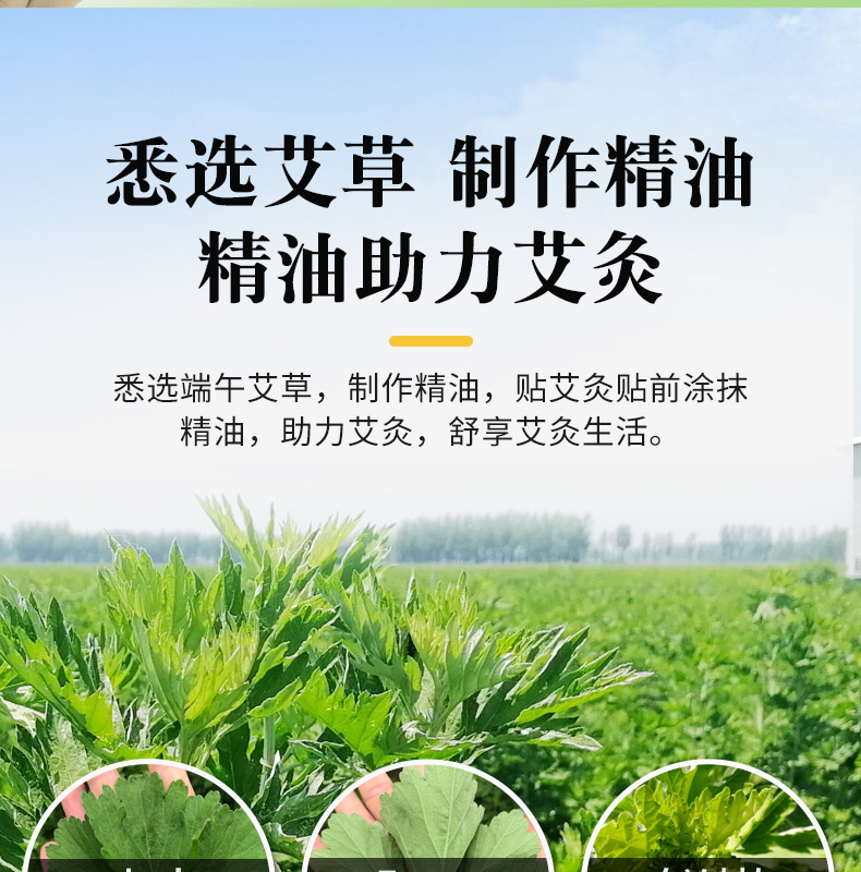 艾艾灸發(fā)熱貼 精油熱敷暖貼身體多部位用廠家批發(fā) 發(fā)熱艾灸貼艾貼